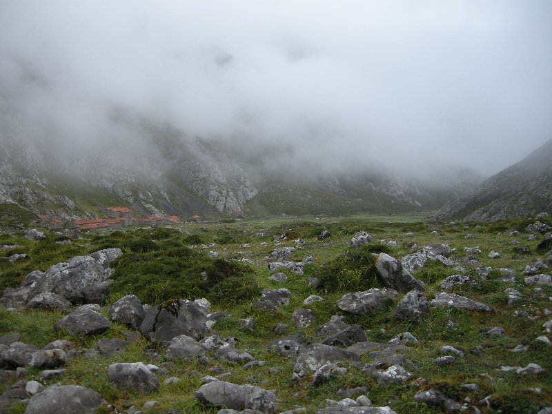 Picos_08_14 989
